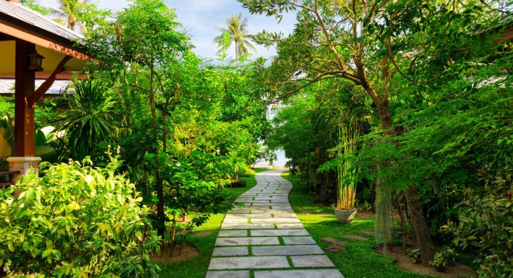 Best resort in Chikmagalur surrounded by coffee plantations and hills