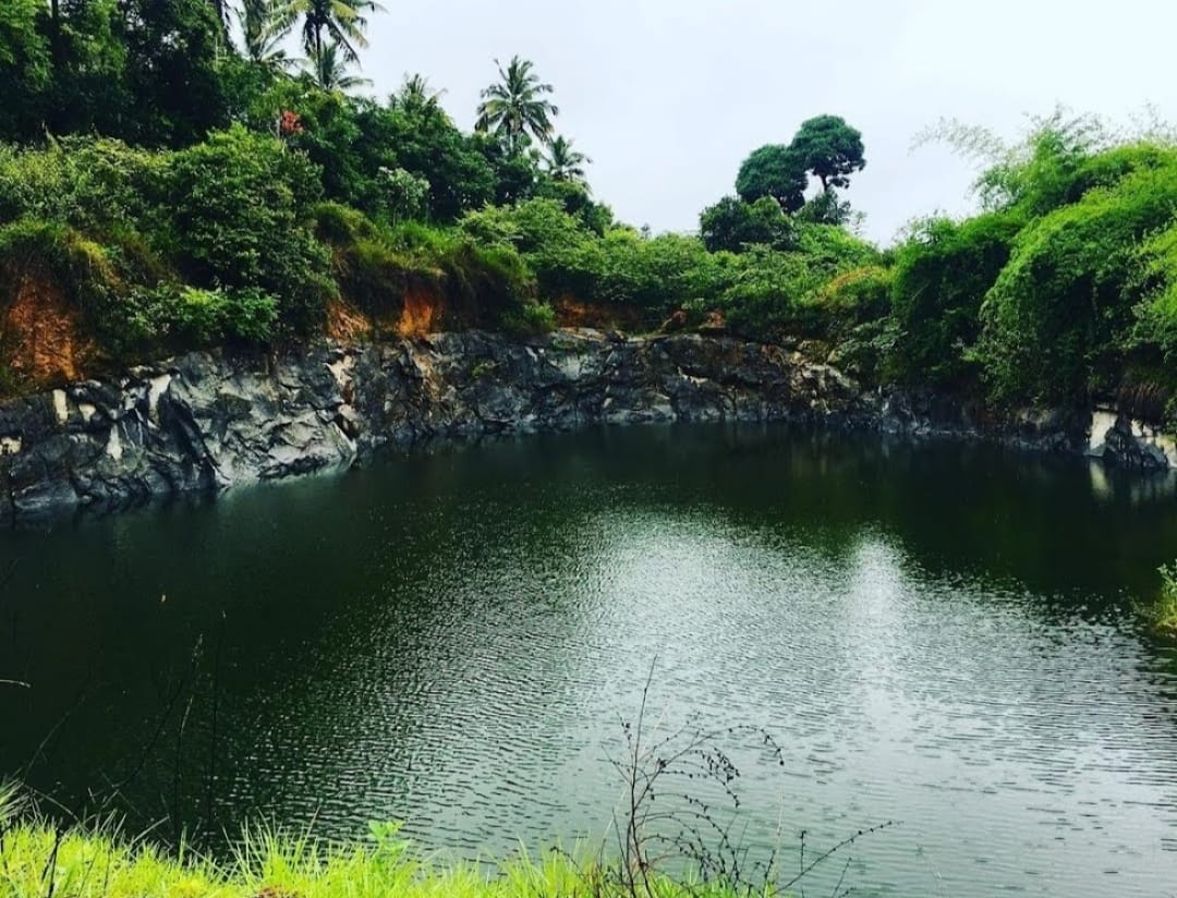 happy pond image