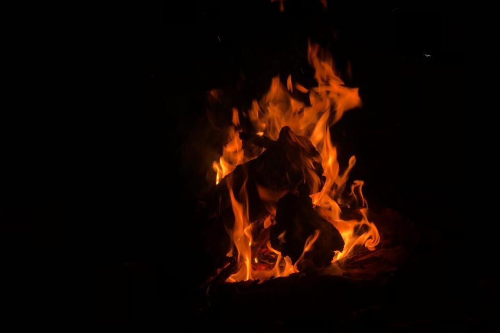 Lake View Nature Stay