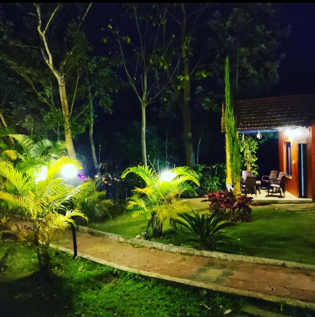 WhatsApp Image 2025-11-04 at 10.28.53 PM