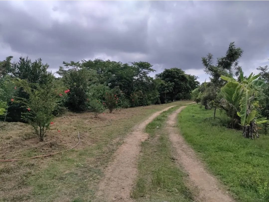 WhatsApp Image 2025-11-05 at 9.59.41 PM