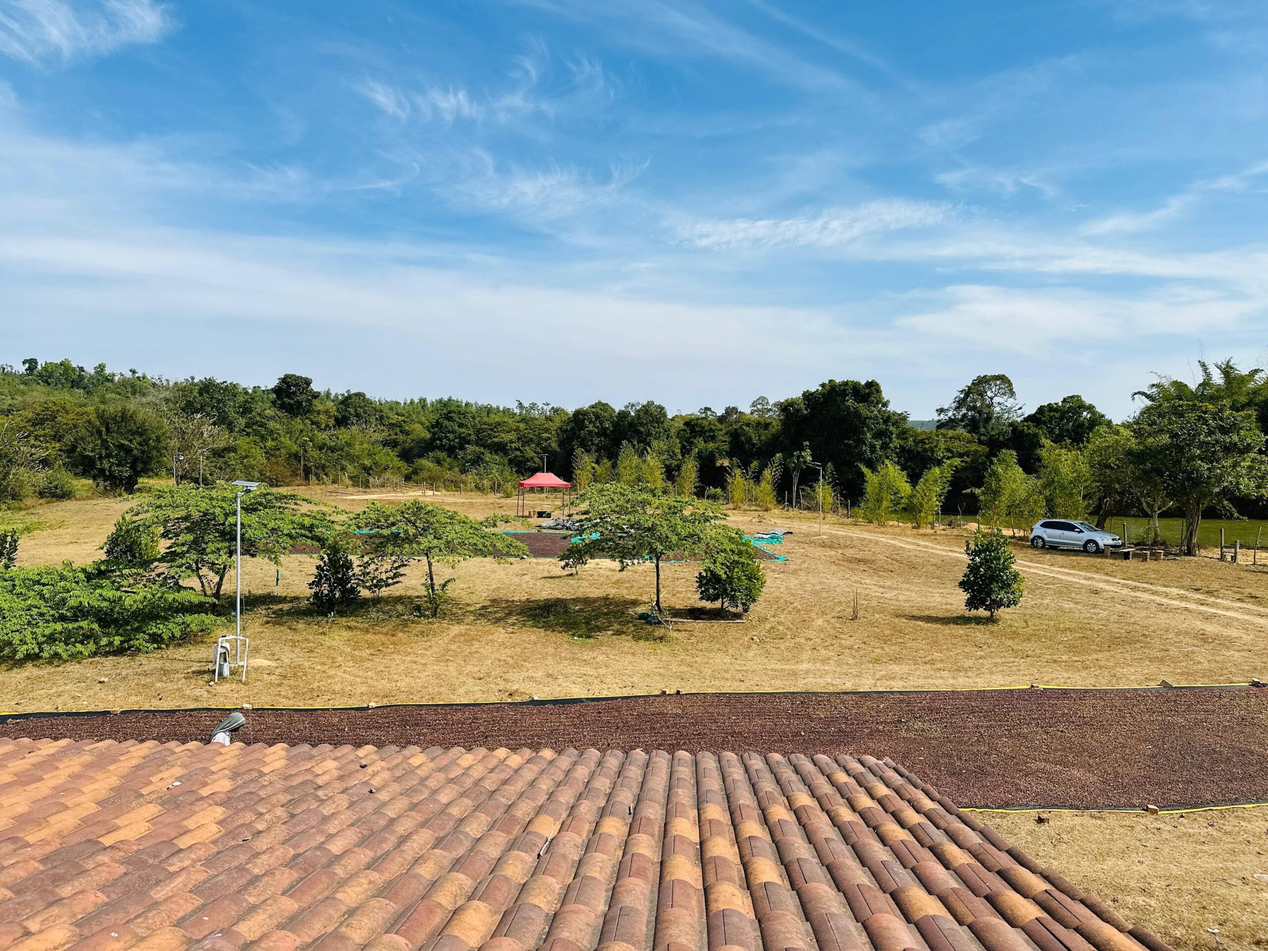 WhatsApp Image 2025-11-05 at 9.59.55 PM