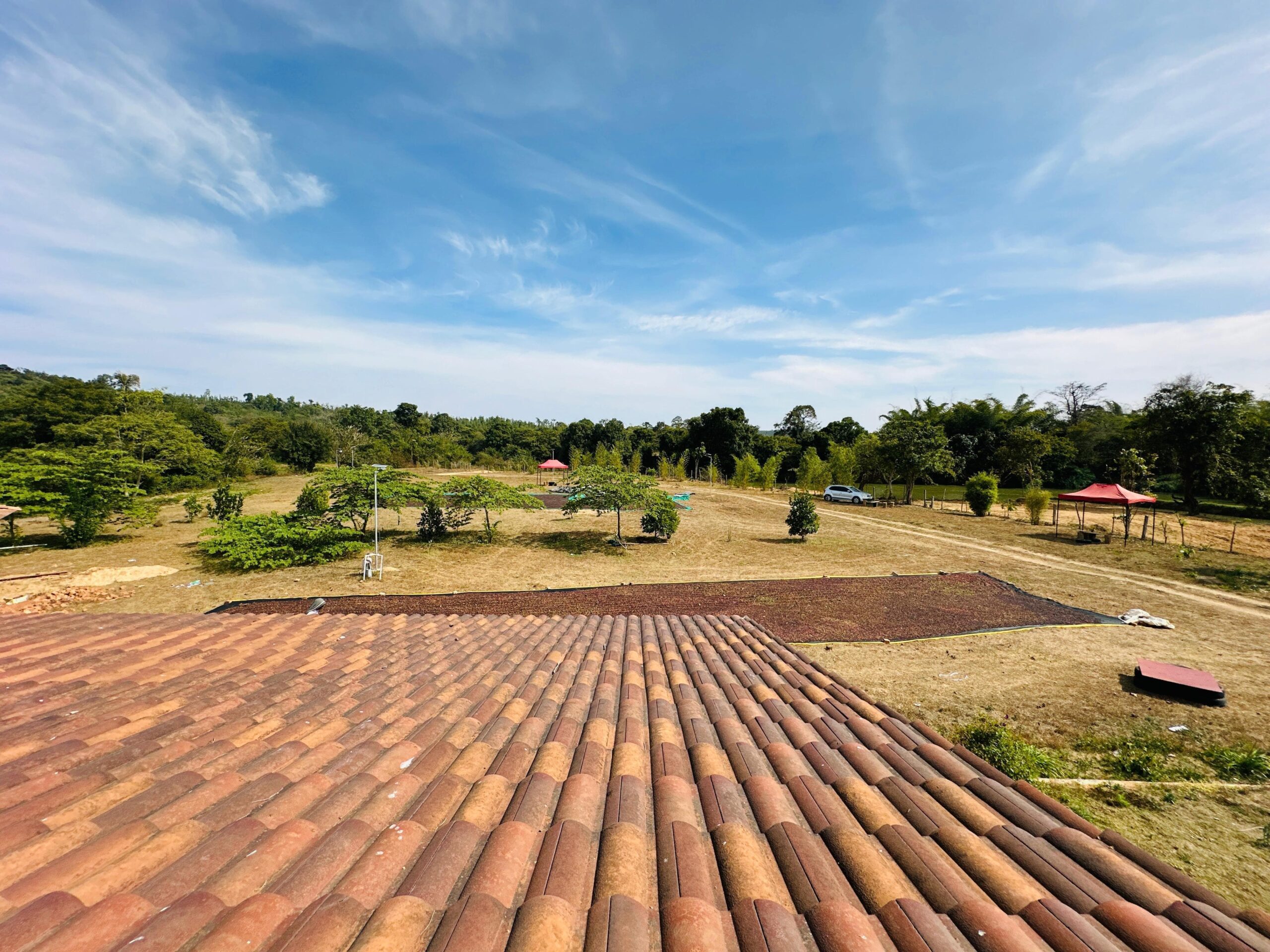 WhatsApp Image 2025-11-05 at 9.59.56 PM