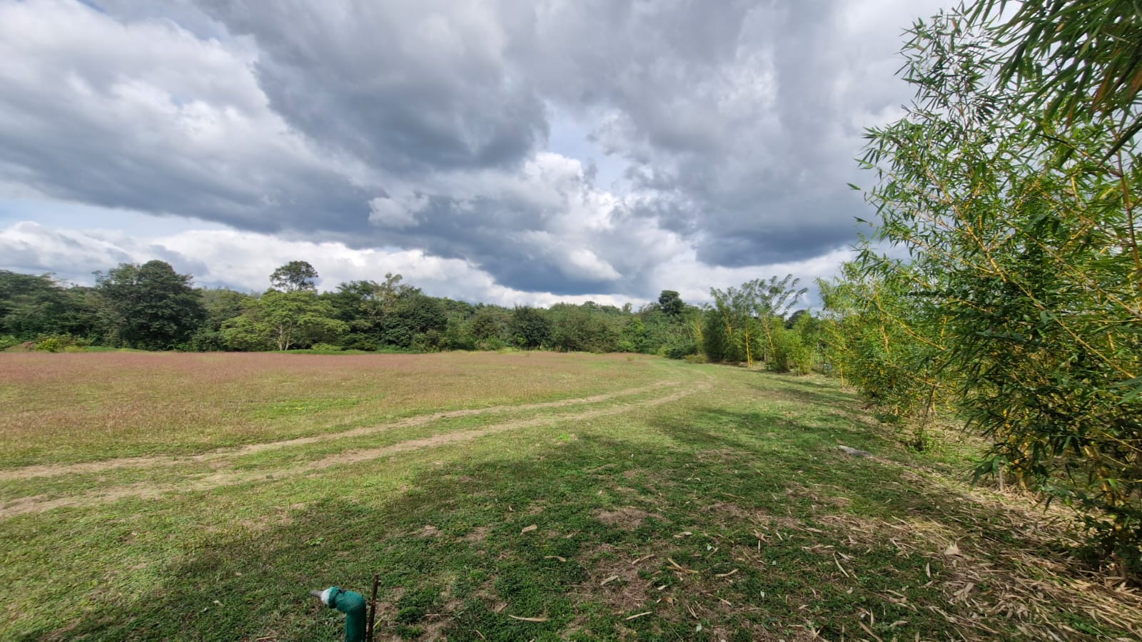 WhatsApp Image 2025-11-05 at 9.59.57 PM