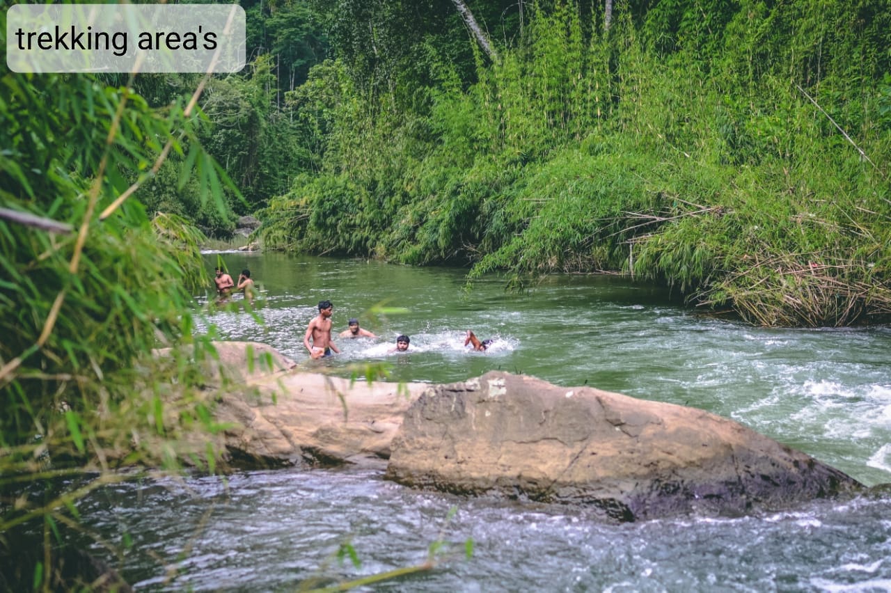 WhatsApp Image 2025-11-06 at 10.54.31 AM (1)