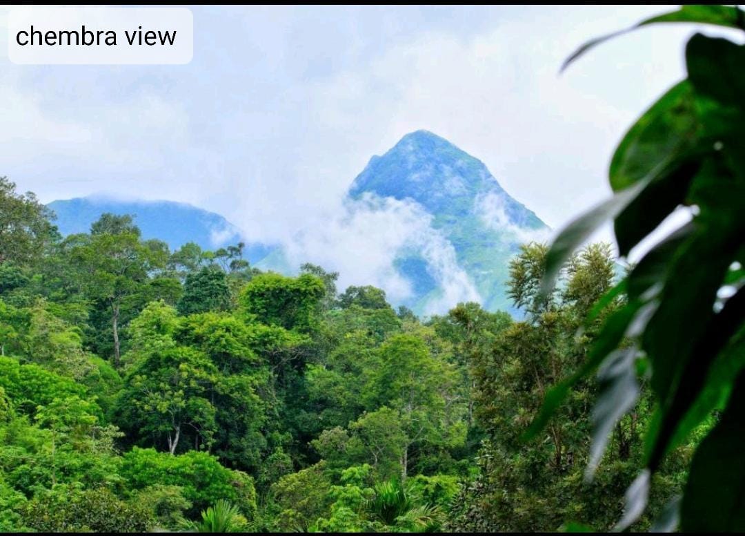 WhatsApp Image 2025-11-06 at 10.54.33 AM