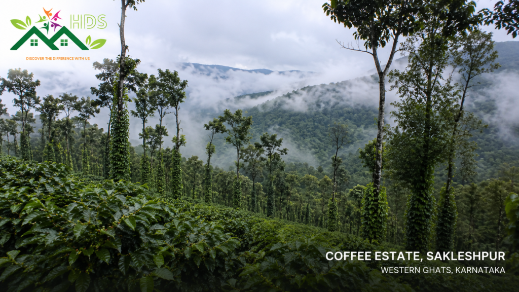Stays in Sakleshpur with coffee estate and misty Western Ghats view