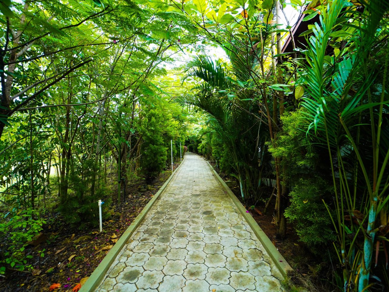 Dew Drops Homestay