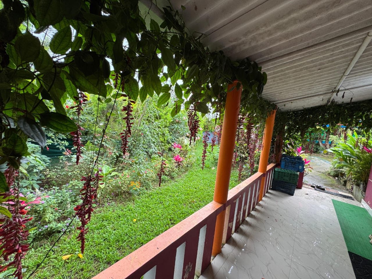 Rose Garden Homestay