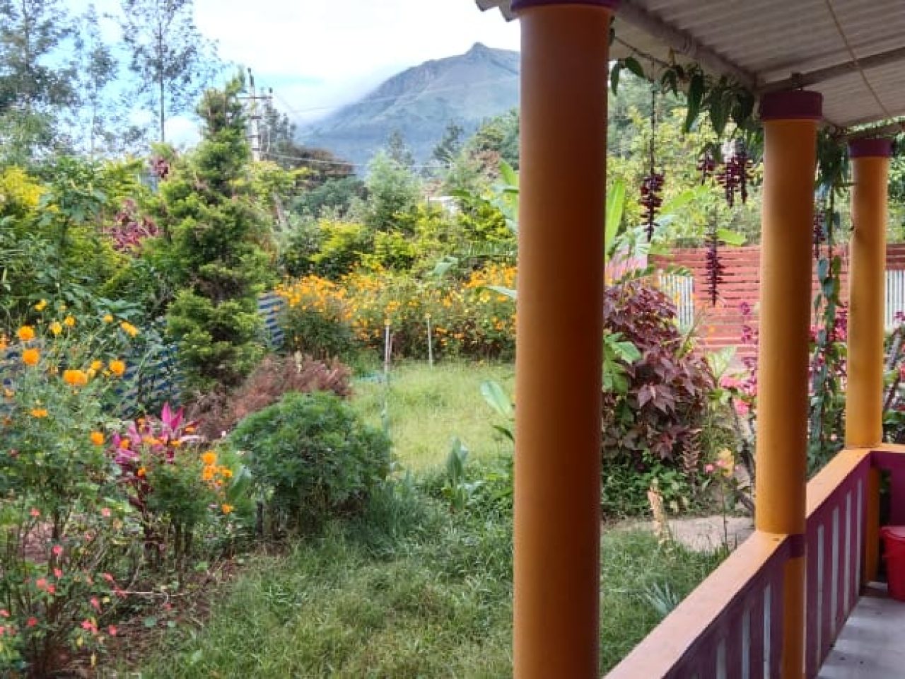 Rose Garden Homestay