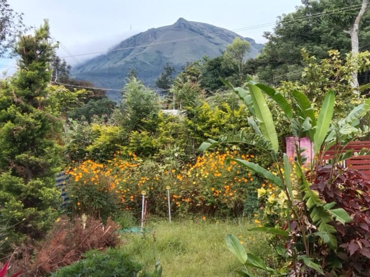 Rose Garden Homestay