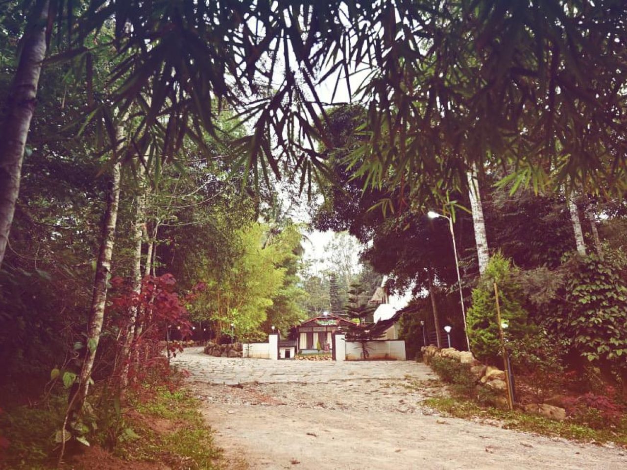 River Green Retreat​