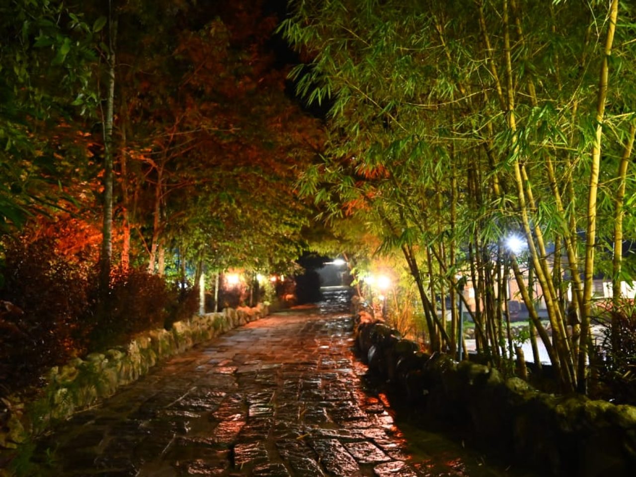 River Green Retreat​