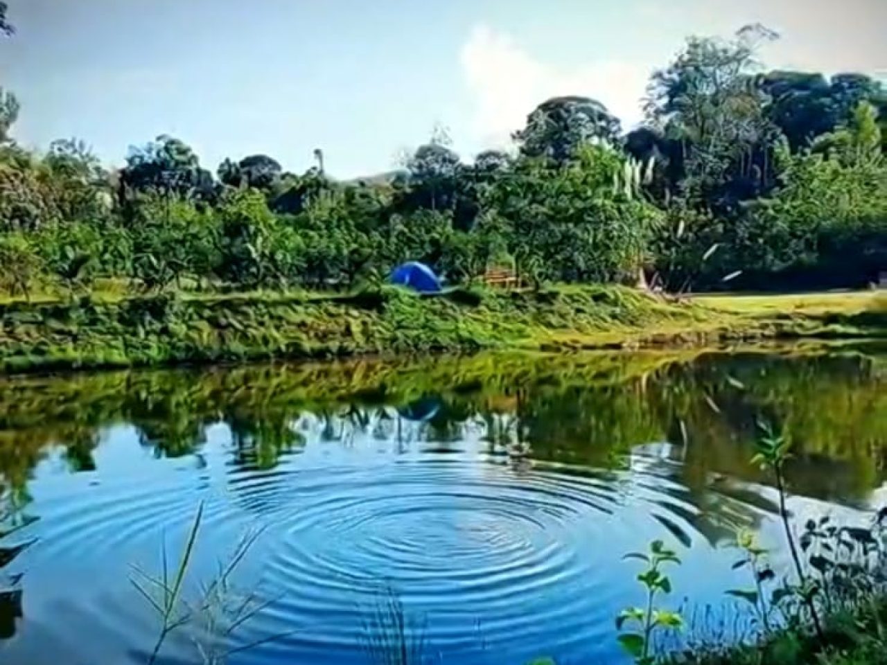 Coorg Coffee Edge Resort