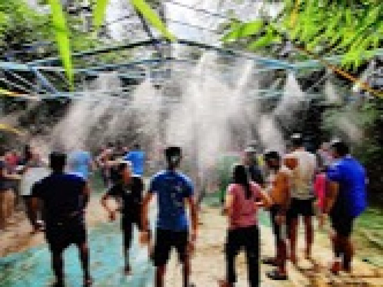 Eco Resort