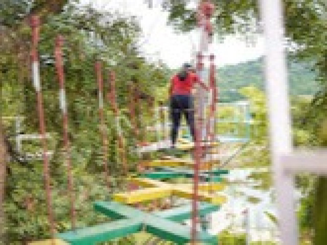 Eco Resort