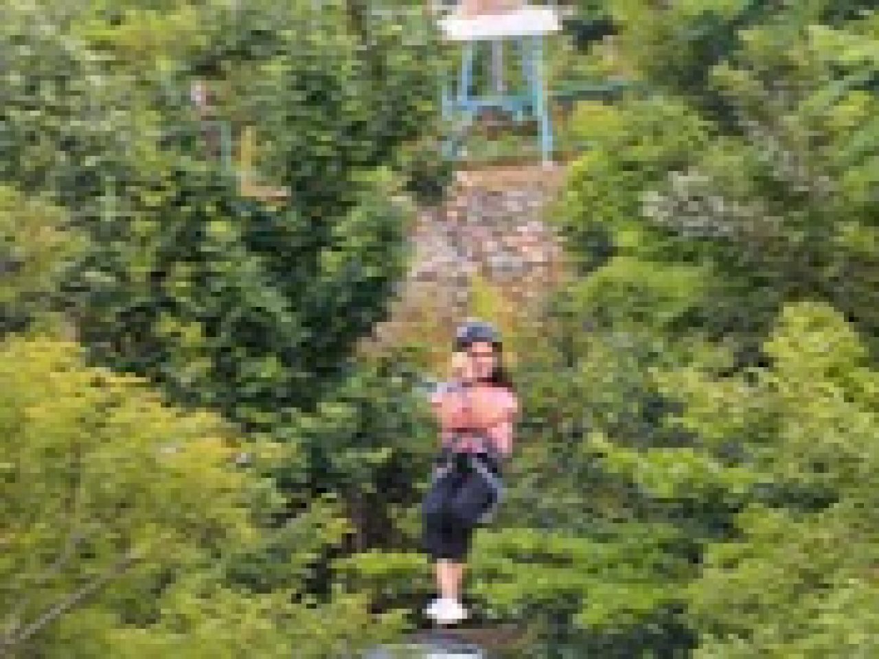 Eco Resort